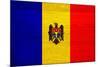 Moldova Flag Design with Wood Patterning - Flags of the World Series-Philippe Hugonnard-Mounted Art Print