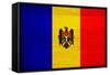 Moldova Flag Design with Wood Patterning - Flags of the World Series-Philippe Hugonnard-Framed Stretched Canvas