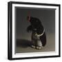 Mole, 2017,-Peter Jones-Framed Giclee Print