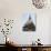 Mole Antonelliana, Sold to the City, Turin, Italy-Sheila Terry-Photographic Print displayed on a wall