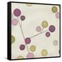 Molecular Blossoms II-June Erica Vess-Framed Stretched Canvas