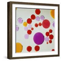 Molecular properties of different liquids-null-Framed Photographic Print