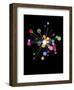 Molecular-Simon C^ Page-Framed Art Print