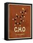 Molecule Cinnamon-null-Framed Stretched Canvas