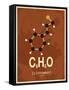 Molecule Cinnamon-null-Framed Stretched Canvas