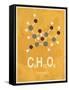 Molecule Honey-null-Framed Stretched Canvas