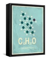 Molecule Peppermint-null-Framed Stretched Canvas