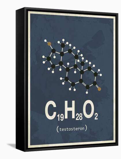 Molecule Testosterone-null-Framed Stretched Canvas