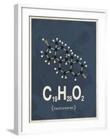 Molecule Testosterone-null-Framed Art Print