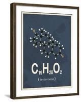 Molecule Testosterone-null-Framed Art Print