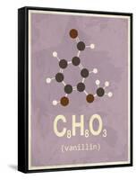 Molecule Vanilin-null-Framed Stretched Canvas