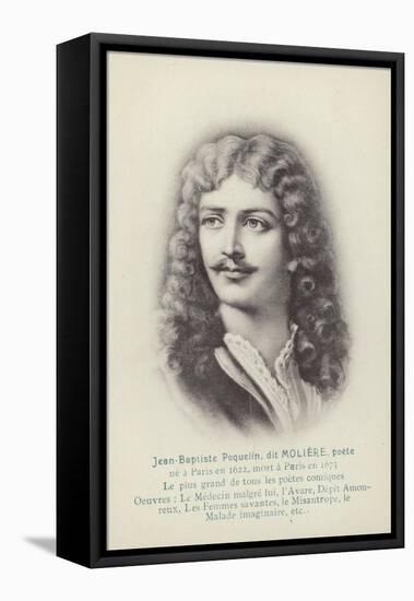 Moliere-null-Framed Stretched Canvas