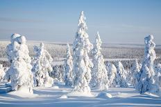 Lapland Finland-Molka-Framed Stretched Canvas