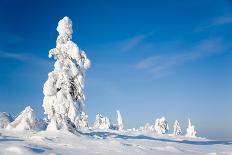 Lapland Finland-Molka-Mounted Photographic Print