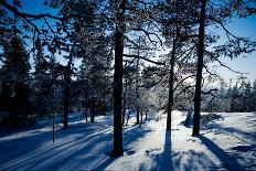 Lapland Finland-Molka-Framed Stretched Canvas