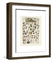 Mollosques I-Adolphe Millot-Framed Art Print