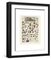 Mollosques I-Adolphe Millot-Framed Art Print