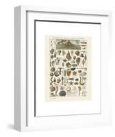 Mollosques I-Adolphe Millot-Framed Art Print