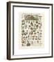 Mollosques I-Adolphe Millot-Framed Giclee Print