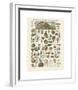 Mollosques I-Adolphe Millot-Framed Giclee Print