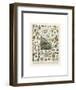 Mollosques II-Adolphe Millot-Framed Art Print