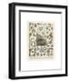 Mollosques II-Adolphe Millot-Framed Art Print