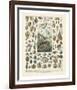 Mollosques II-Adolphe Millot-Framed Art Print