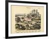 Molluscs, C.1860-null-Framed Giclee Print