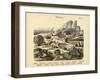 Molluscs, C.1860-null-Framed Giclee Print