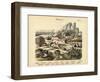 Molluscs, C.1860-null-Framed Giclee Print