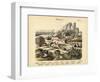 Molluscs, C.1860-null-Framed Giclee Print