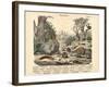 Molluscs, C.1860-null-Framed Giclee Print