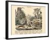 Molluscs, C.1860-null-Framed Giclee Print