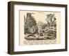 Molluscs, C.1860-null-Framed Giclee Print