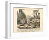 Molluscs, C.1860-null-Framed Giclee Print