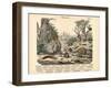 Molluscs, C.1860-null-Framed Giclee Print