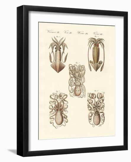 Molluscs or Soft Worms-null-Framed Giclee Print