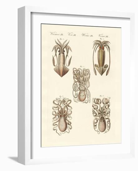 Molluscs or Soft Worms-null-Framed Giclee Print