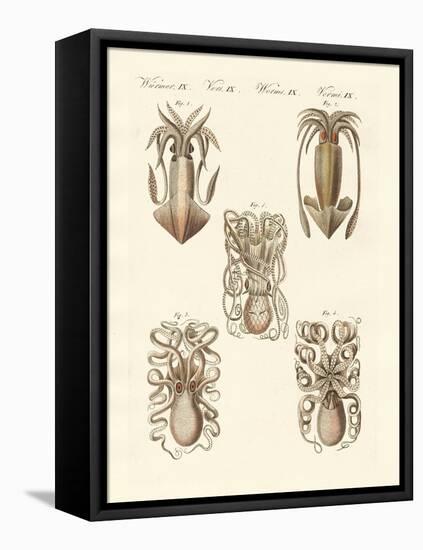 Molluscs or Soft Worms-null-Framed Stretched Canvas