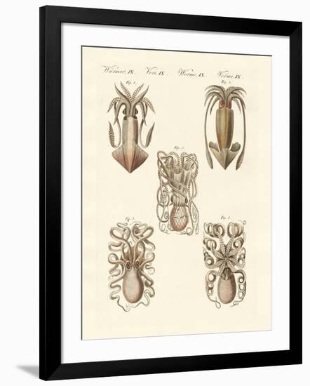 Molluscs or Soft Worms-null-Framed Giclee Print