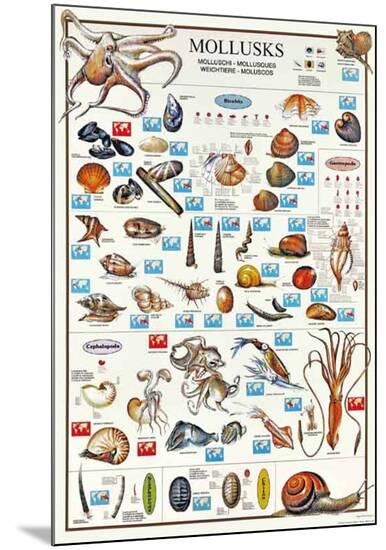 Poster, , large