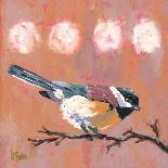 Delight Chickadee-Molly Reeves-Photographic Print
