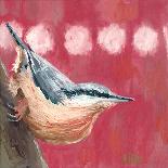 Hope Nuthatch-Molly Reeves-Photographic Print