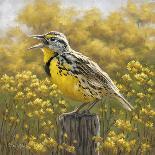 Golden Meadow (Meadowlark Bird)-Molly Sims-Mounted Giclee Print