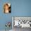 Molly Sims-null-Photo displayed on a wall