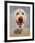 Molly-Lucia Heffernan-Framed Art Print