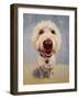 Molly-Lucia Heffernan-Framed Art Print