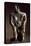 Molten Gold Lost Wax Statue Originating from Sammaraya-null-Stretched Canvas