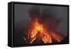 Molten Lava Erupts from Sakurajima Kagoshima Japan-Nosnibor137-Framed Stretched Canvas