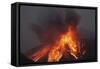 Molten Lava Erupts from Sakurajima Kagoshima Japan-Nosnibor137-Framed Stretched Canvas